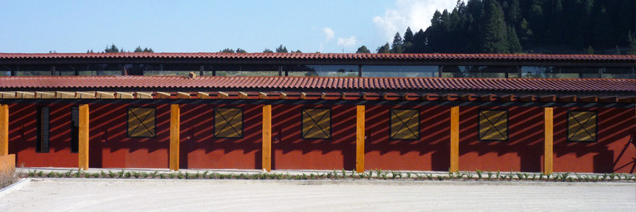 Slideshow Image 4